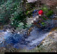 Small-Group Full-Day Canyoning and Abseiling Adventure from Katoomba - Attractions Brisbane