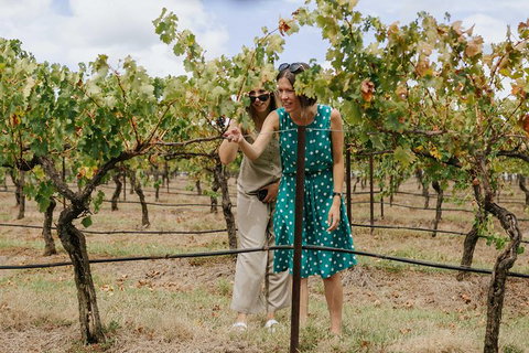 Lovedale & North Pokolbin, Hunter Valley Hop-On And Hop-off Bus Tour - Attractions Brisbane 4