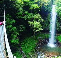 Rainforest  Waterfall Experience - Attractions Brisbane