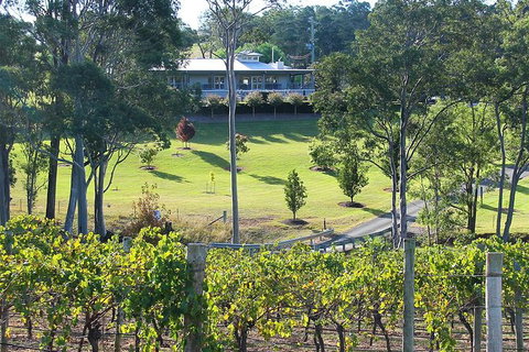 Tulloch Wines- Premium Museum Aged Wine Tasting With Cheese And Charcuterie - Attractions Brisbane 5