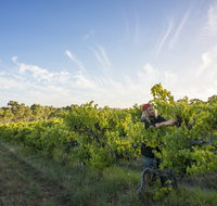 Mclaren Vale - Attractions Brisbane