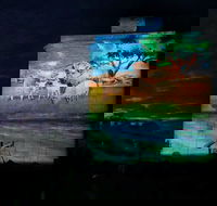 Quorn Silo Light Show - Attractions Brisbane