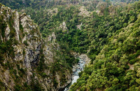 Tiara Walking Track - Attractions Brisbane 0