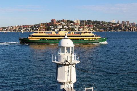 Half Day Manly Beach And More - Attractions Brisbane 7