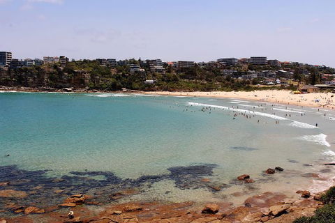 Half Day Manly Beach And More - Attractions Brisbane 11