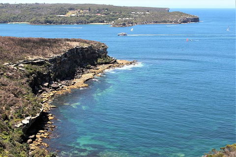 Half Day Manly Beach And More - Attractions Brisbane 9