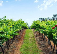 Tintilla Estate Wine Tasting with a Meat and Cheese Platter - Attractions Brisbane