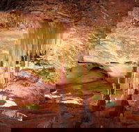 Jenolan Caves Ribbon Cave Tour - Attractions Brisbane