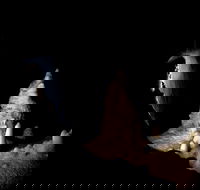 Jenolan Caves Extended Temple of Baal Cave Tour - Attractions Brisbane