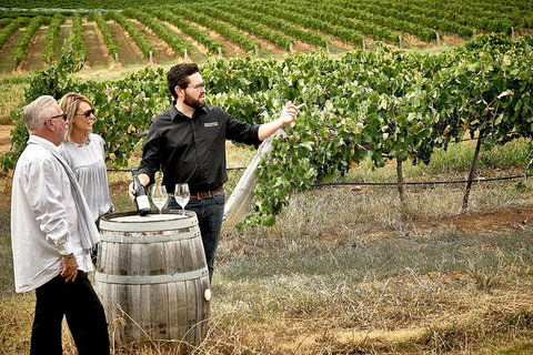 VIP Soil-To-Cellar Experience - Attractions Brisbane 0
