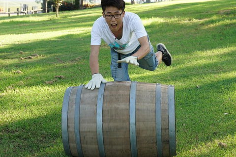 Hunter Valley Wine Barrel Rolling - Attractions Brisbane 2