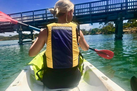 2-Hour Rental Kayak Double In Brunswick River - Attractions Brisbane 3