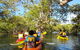2-Hour Rental Kayak Double In Brunswick River - thumb 2