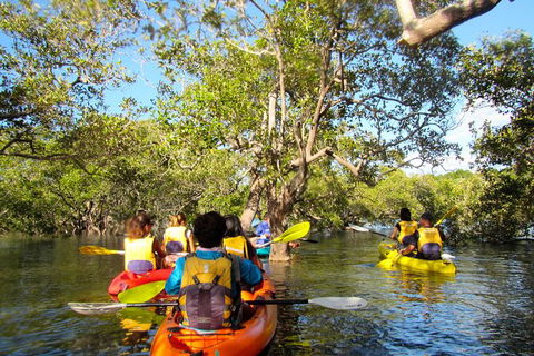 2-Hour Rental Kayak Double In Brunswick River - Attractions Brisbane 2