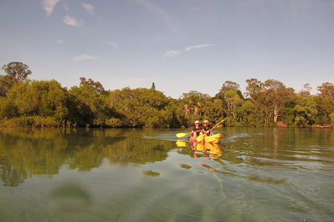 2-Hour Rental Kayak Double In Brunswick River - Attractions Brisbane 5