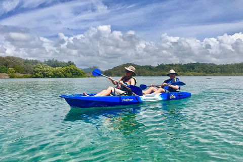 2-Hour Rental Kayak Double In Brunswick River - Attractions Brisbane 0