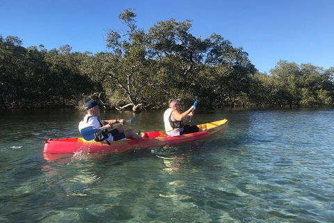 2-Hour Rental Kayak Double In Brunswick River - Attractions Brisbane 4