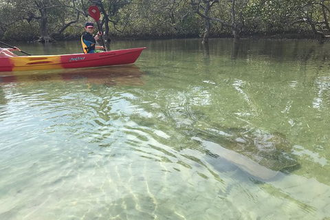 2-Hour Rental Kayak Double In Brunswick River - Attractions Brisbane 6