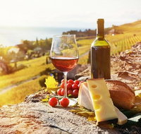 Six hour - plan your own wine and cheese tour Hunter Valley - Attractions Brisbane