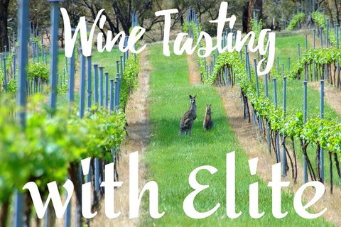 Six Hour - Plan Your Own Wine And Cheese Tour Hunter Valley - Attractions Brisbane 7