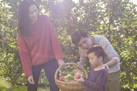 Blue Mountains Botanic Garden And Bilpin Tour From Katoomba With Cider Tasting - Attractions Brisbane 1