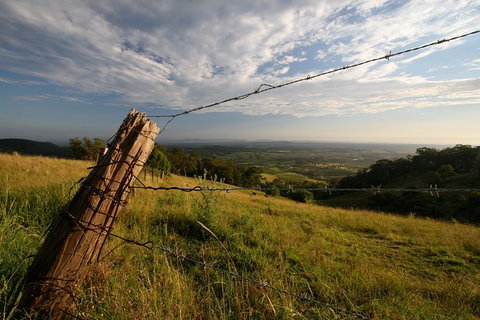 Private Full-Day Wine Tour In Hunter Valley - Attractions Brisbane 3