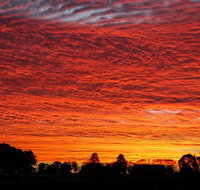 Private Full-Day Wine Tour in Hunter Valley - Attractions Brisbane
