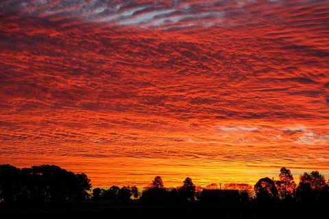 Private Full-Day Wine Tour In Hunter Valley - Attractions Brisbane 0