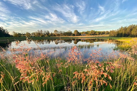 Private Full-Day Wine Tour In Hunter Valley - Attractions Brisbane 5