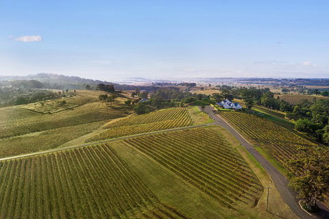 Audrey Wilkinson Vineyard: Fromage And Fortified Wine Experience - Attractions Brisbane 1