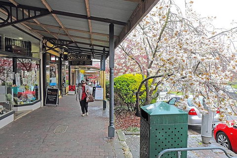 Blue Mountains Highlights, Wildlife Park And Scenic World Full Day Private Tour - Attractions Brisbane 2