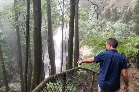 Blue Mountains Highlights, Wildlife Park And Scenic World Full Day Private Tour - Attractions Brisbane 6