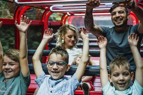 Blue Mountains Highlights, Wildlife Park And Scenic World Full Day Private Tour - Attractions Brisbane 5