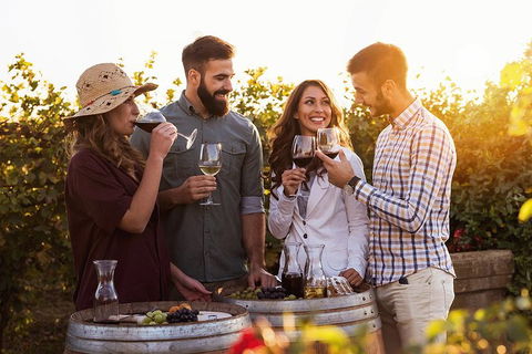 Hunter Valley Highlights Private Wine Tour From Sydney - Attractions Brisbane 0