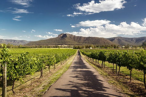 Hunter Valley Highlights Private Wine Tour From Sydney - Attractions Brisbane 2