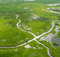 60 minute Scenic Flight from Cooinda - Attractions Brisbane
