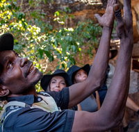 Arnhem Land Injalak Hill Full-Day Tour from Jabiru - Attractions Brisbane