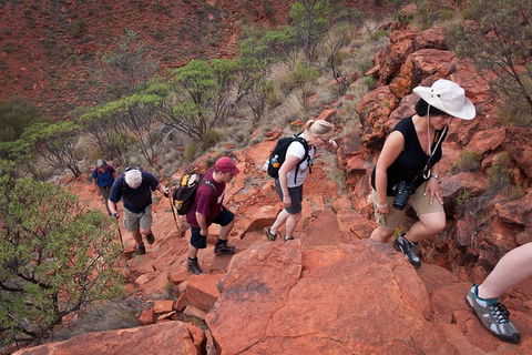 Uluru, Kata Tjuta And Kings Canyon Camping Safari From Alice Springs - Attractions Brisbane 3