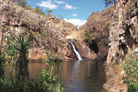 Kakadu, Katherine & Litchfield Adventure - Attractions Brisbane 1