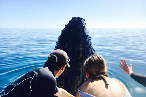 Remote Fraser Island Experience - Attractions Brisbane 12