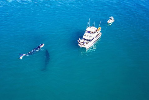 Remote Fraser Island Experience - Attractions Brisbane 11