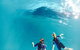 Remote Fraser Island Experience - thumb 10