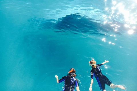 Remote Fraser Island Experience - Attractions Brisbane 10