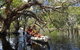 Remote Fraser Island Experience - thumb 7
