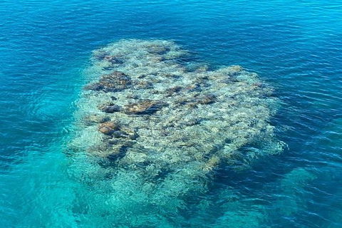 Lady Musgrave Day Trip From Bundaberg Including Snorkeling, Glass Bottom Tour And Guided Island Walk - Attractions Brisbane 2