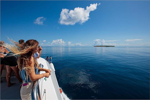 Lady Musgrave Day Trip From Bundaberg Including Snorkeling, Glass Bottom Tour And Guided Island Walk - Attractions Brisbane 4