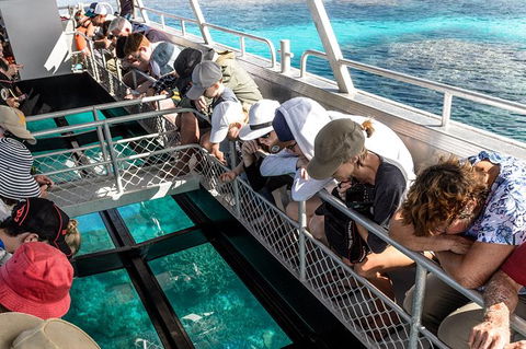 Lady Musgrave Day Trip From Bundaberg Including Snorkeling, Glass Bottom Tour And Guided Island Walk - Attractions Brisbane 3
