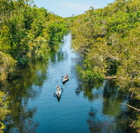 Cruise 'n' Canoe to Australia's Everglades - Attractions Brisbane