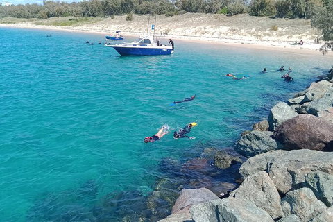 Half-Day Kayak, SUP And Snorkel Tour At Wave Break Island With Lunch - Attractions Brisbane 3