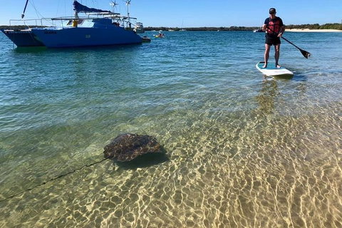 Half-Day Kayak, SUP And Snorkel Tour At Wave Break Island With Lunch - Attractions Brisbane 2